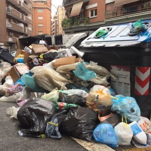 Roma, emergenza rifiuti: Raggi al voto tra topi, cinghiali e gabbiani