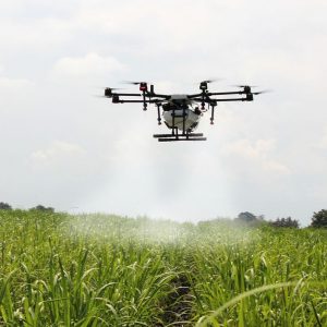 Agricoltura e rinnovabili: alle pmi 250 milioni da Bei e Unicredit
