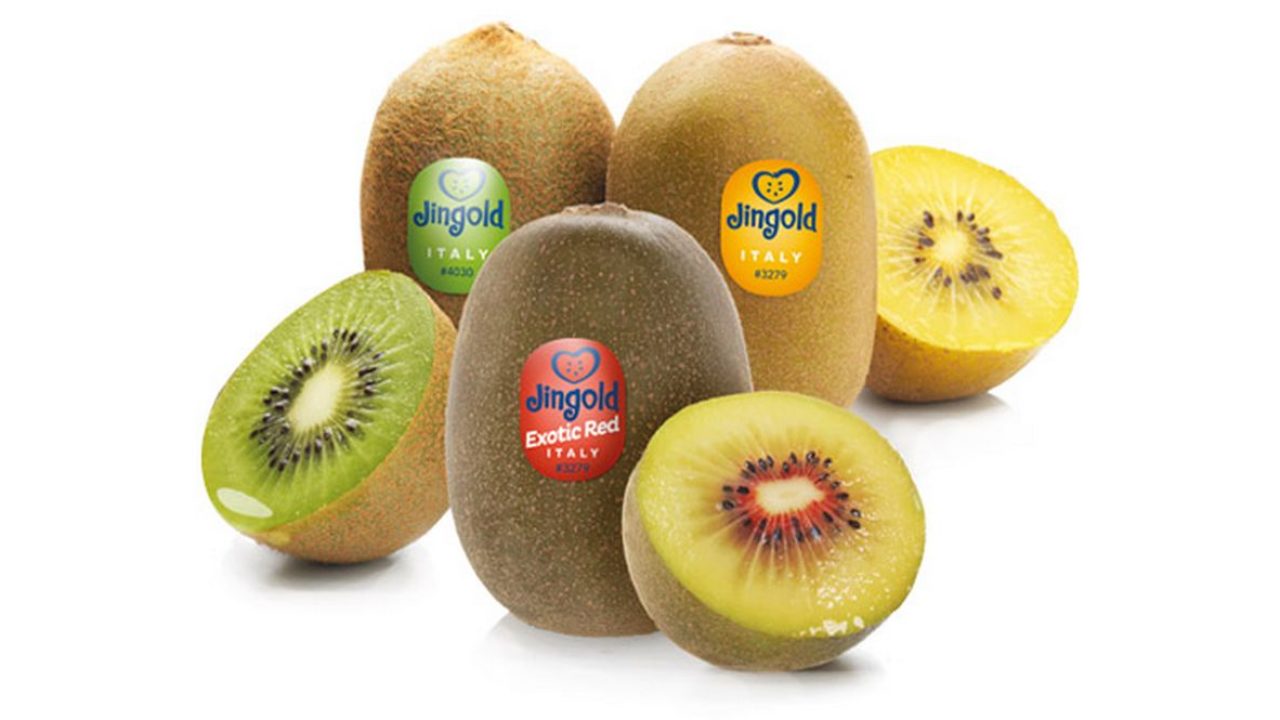 Rialzo Sedia Kiwi