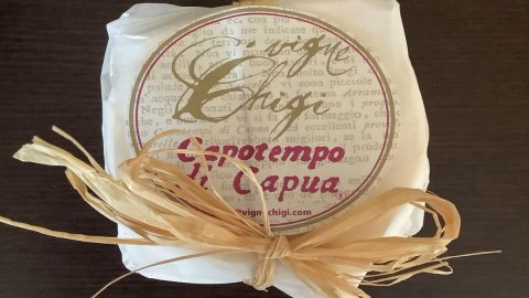 Capotempo di Capua: torna in vita il formaggio della corte borbonica