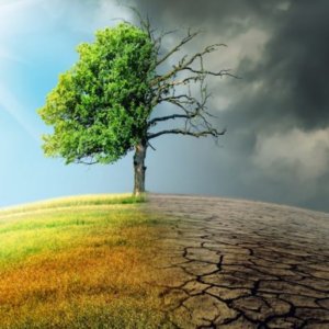 Cambiamento climatico, Bankitalia: “Rischi soprattutto per agricoltura e turismo. Fino al 9,5% di Pil in meno”