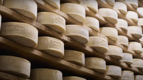 Il Fodóm delle Dolomiti Bellunesi: un formaggio Presidio Slow Food che celebra la montagna
