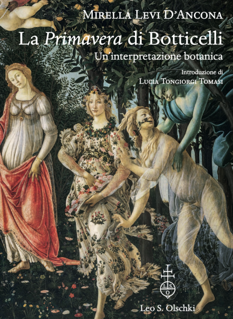 Primavera di Botticelli libro