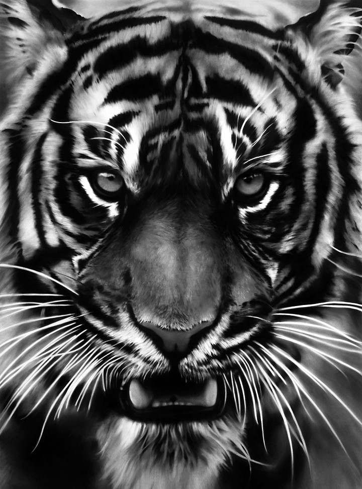 UNTITLED (WHITE TIGER) Robert Longo