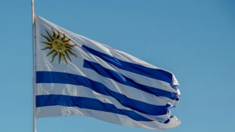 Elezioni presidenziali Uruguay, si andrà al ballottaggio: Orsi della sinistra è in testa ma non ha il 50% per vincere