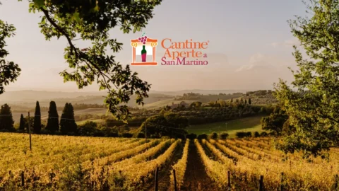 Turismo del Vino: Cantine Aperte a San Martino in tutta Italia per la grande festa autunnale del vino