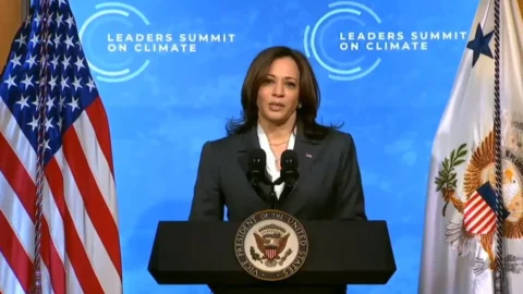 Kamala Harris rompe il silenzio: “Concedo la vittoria a Trump, ma non ci arrenderemo”. Oggi Biden parla al Paese