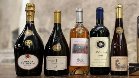 Guida dei vini Veronelli: tra i migliori assaggi dell’anno Giulio Ferrari riserva del Fondatore 2015, Sassicaia 2021 e Costa d’Amalfi Rosato 2023