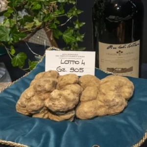 Un tartufo per 140.000 euro: aggiudicato a Hong Kong il tartufo record di Alba battuto all’asta Mondiale di Grinzane Cavour