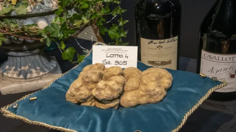 Un tartufo per 140.000 euro: aggiudicato a Hong Kong il tartufo record di Alba battuto all’asta Mondiale di Grinzane Cavour