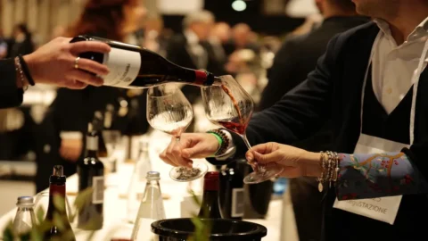 I migliori vini che hanno riportato sotto i riflettori vitigni dimenticati dello Stivale: premiati con i Tastevin dei Sommelier AIS