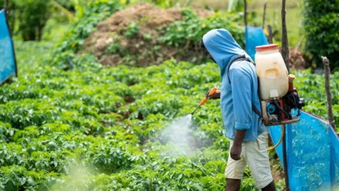 Lavoratore nel campo