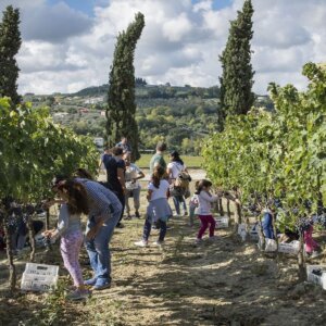 Movimento Turismo del vino: un settore in salute e sempre più attrattivo, ma pesa l’aumento dei costi