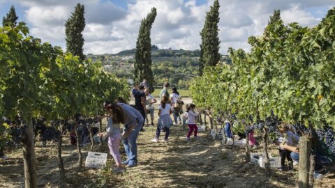 Movimento Turismo del vino: un settore in salute e sempre più attrattivo, ma pesa l’aumento dei costi