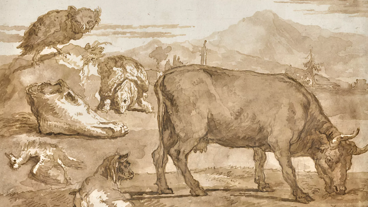 Disegno di Tiepolo