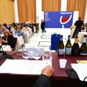VitignoItalia 2025: a Napoli il racconto dei grandi territori del vino tricolore