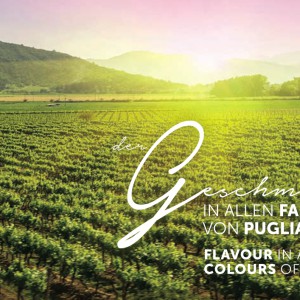 Autogol Puglia: presenta il suo vino in Germania, ma le vigne pubblicizzate sono in Cile