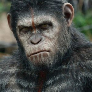 Cinema: “The War” e tornano le scimmie sul pianeta Terra